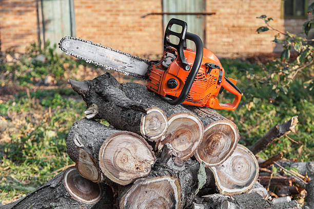 Best Residential Tree Removal  in Pho, IL